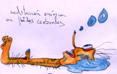 Meditación onírica