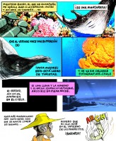 Tropical-10