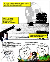 Tropical-11