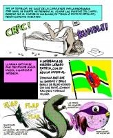 Tropical-4