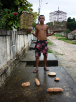 semillas brasil 3 Semillas Brasil #3