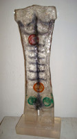 Torso
