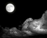 noche