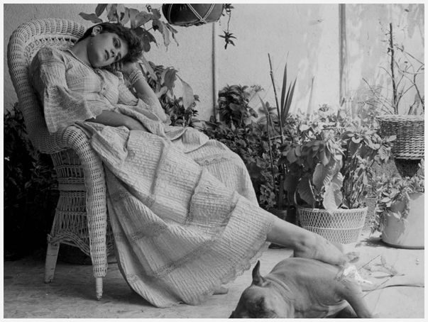 María Tarriba