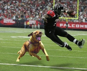 Michael Vick