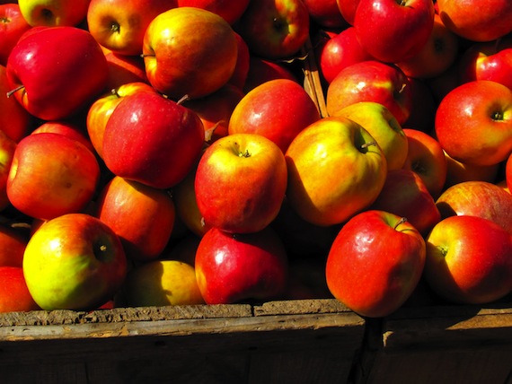 Union Square mercado manzanas 030