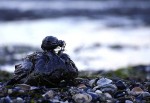 Noruega-ayudará-a-controlar-el-derrame-de-petróleo-en-el-Golfo-de-México