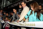Linea dorada