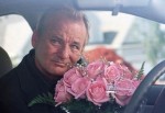 Broken flowers