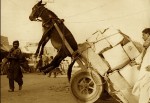 burro_sobrecargado