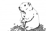 Adios marmota