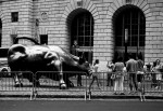 Wall Street Area