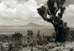 Fotografía © Juan Rulfo