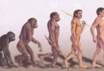 Del mono al hombre.