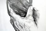 Pencil-Drawing