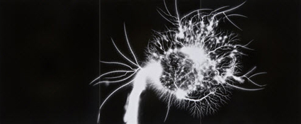 Hiroshi Sugimoto, de la serie Lightning Fields.