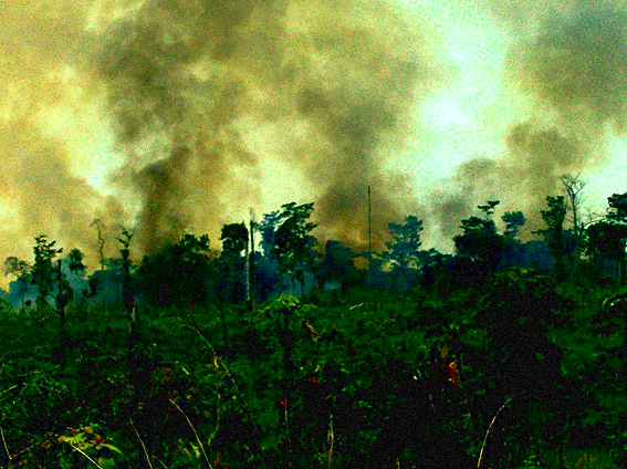 La selva lacandona.