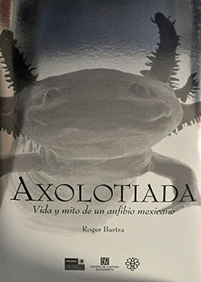 Vida y obra de los ajolotes.