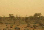 Paisaje desolado.