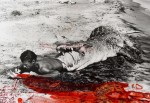 © Peter Beard