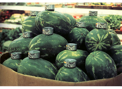 Gabriel Orozco - Cats and Watermelons