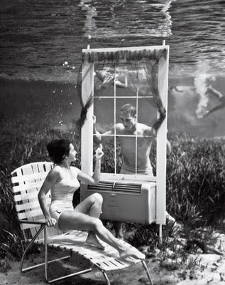 bruce mozert