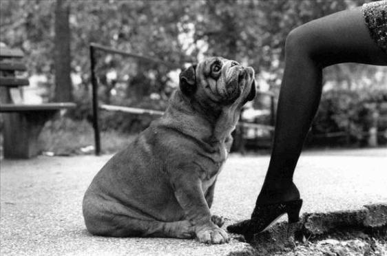 Elliott Erwitt89