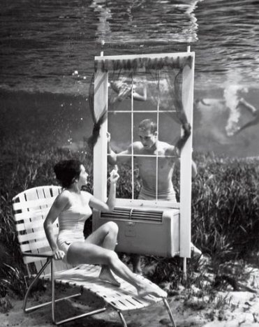 bruce mozert