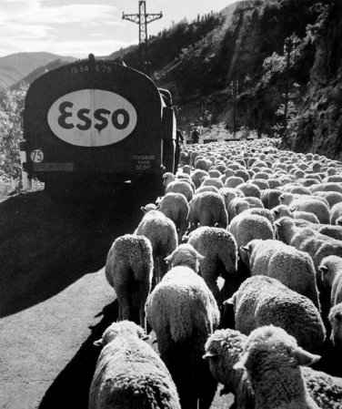 robert doisneau771