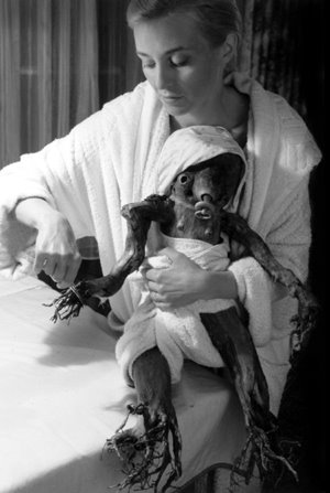 3 Jan Svankmajer