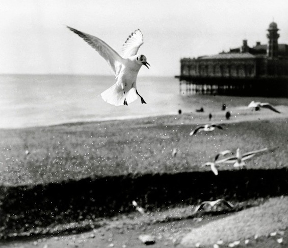 Jacques-Henri Lartigue VO30
