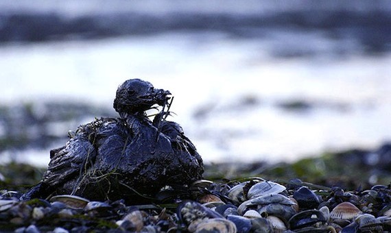 Noruega-ayudará-a-controlar-el-derrame-de-petróleo-en-el-Golfo-de-México