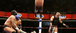 lucha