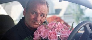 Broken flowers