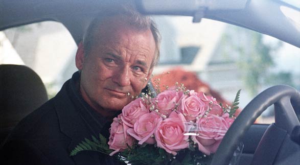Flores rotas