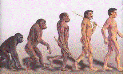 Del mono al hombre.