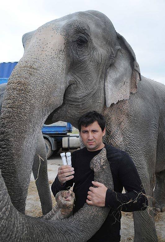 El cirquero Joey Gärtner con uno de sus elefantes.